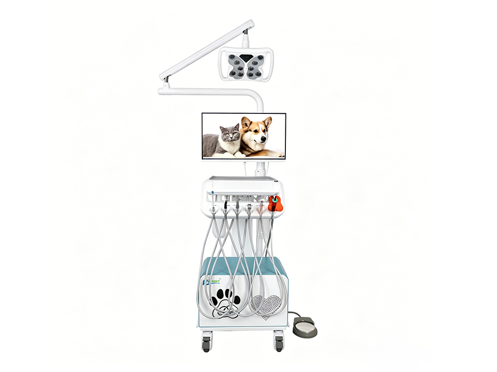 BL-610C188 Veterinary Dental Unit