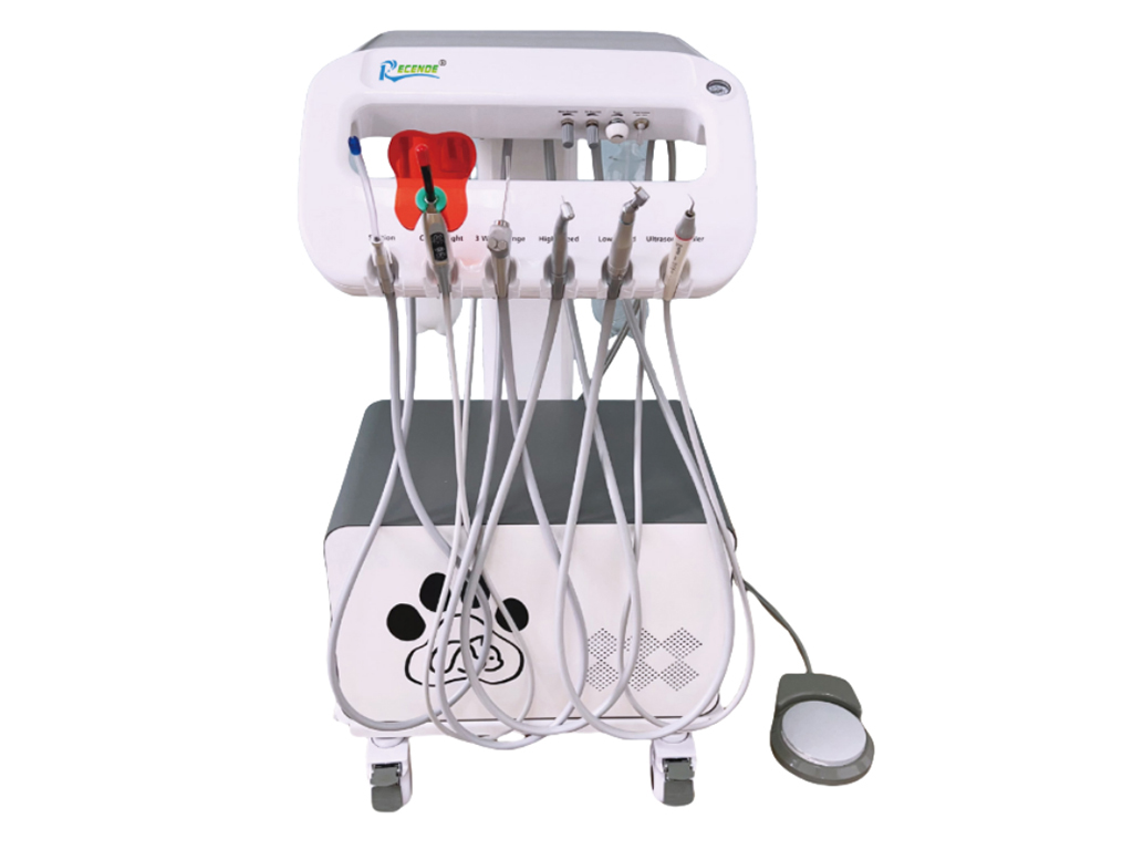 BL-610C Veterinary Dental Unit