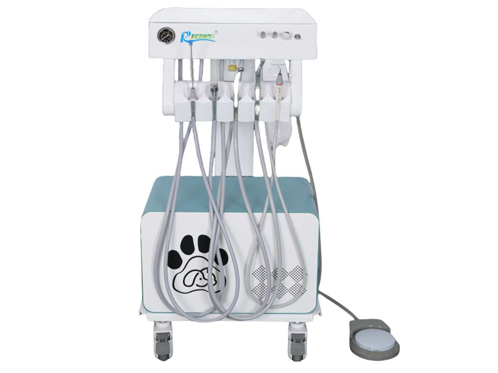 BL-610D Veterinary Dental Unit