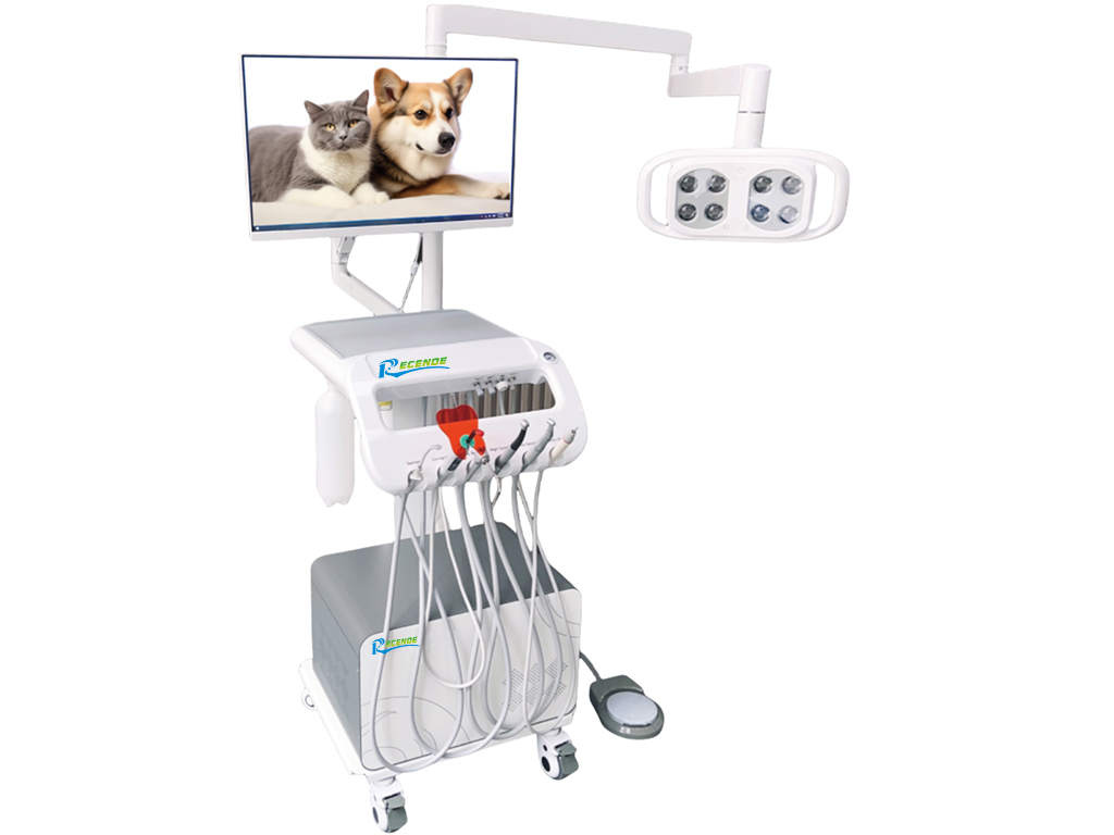 BL-610C180 Veterinary Dental Unit
