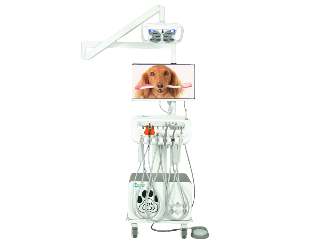 BL-610C188 Veterinary Dental Unit